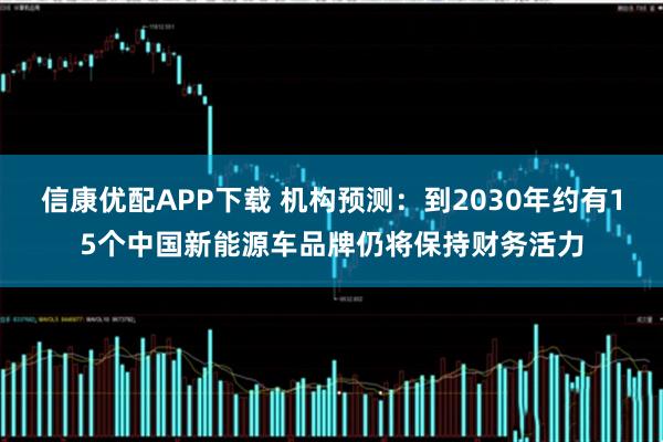 信康优配APP下载 机构预测：到2030年约有15个中国新能源车品牌仍将保持财务活力