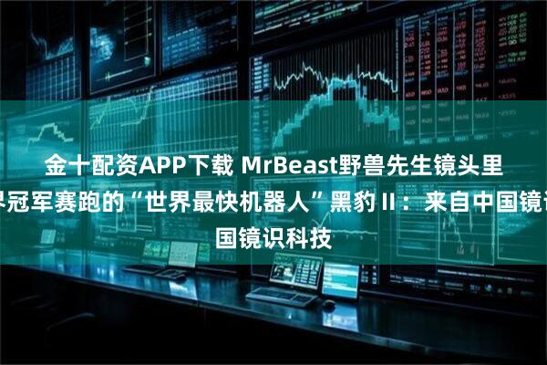 金十配资APP下载 MrBeast野兽先生镜头里与世界冠军赛跑的“世界最快机器人”黑豹Ⅱ：来自中国镜识科技