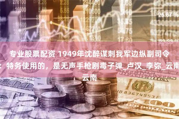 专业股票配资 1949年沈醉谋刺我军边纵副司令：特务使用的，是无声手枪剧毒子弹_卢汉_李弥_云南