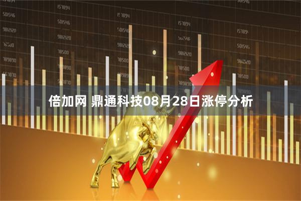 倍加网 鼎通科技08月28日涨停分析